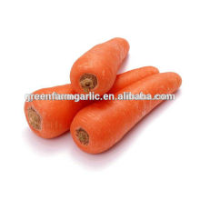 Natural organic fresh carrot price